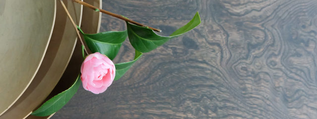 日本のアンティークと一輪の花